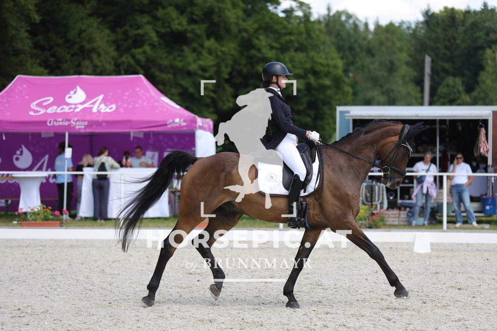 0P6A1600 | Willkommen bei Brunnmayr - Design & Fotografie – Ihrem Spezialisten für Reitturniere und Pferdeveranstaltungen in Oberösterreich, Salzburg und Bayern! Seit über 17 Jahren sind wir leidenschaftlich dabei.