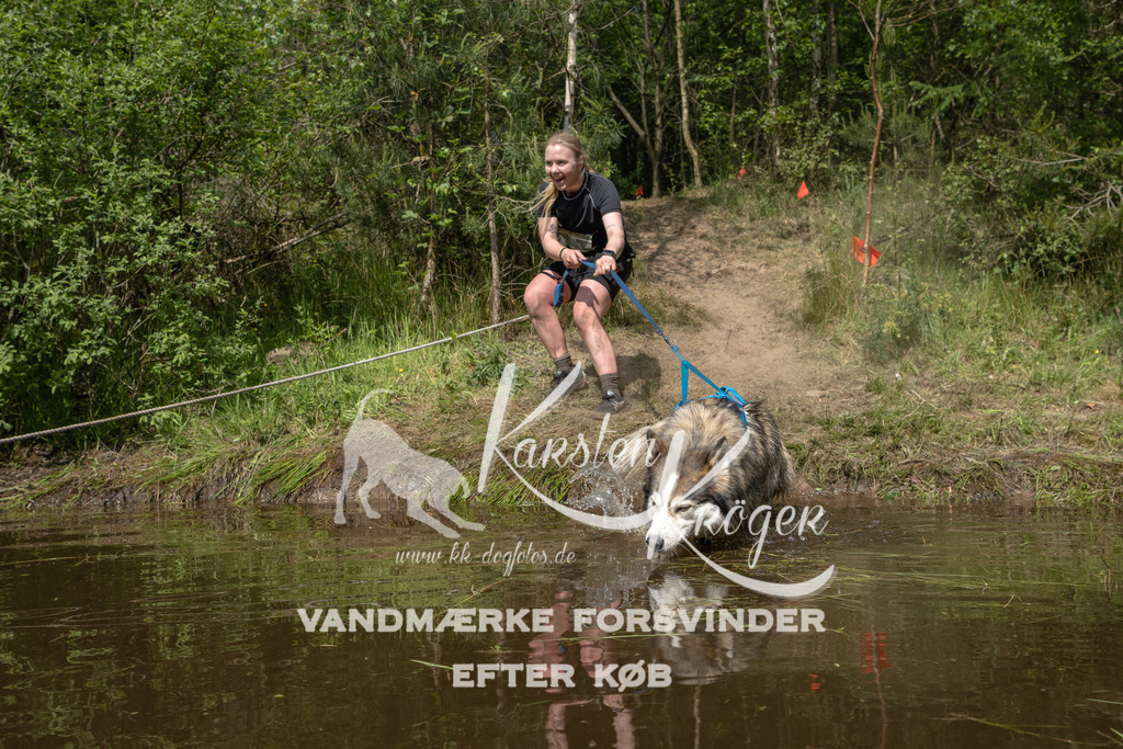 1038DKK991101 | kk-dogfotos