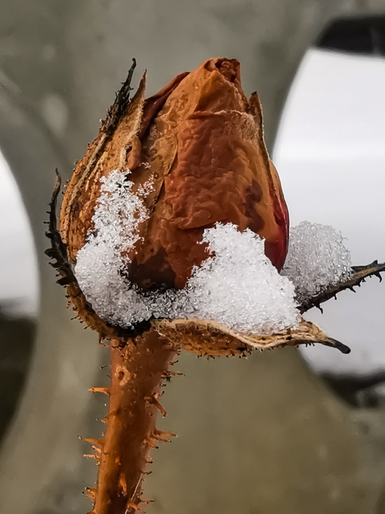 PSX_20230122_222153 | mtkfoto_ - Realisiert mit Pictrs.com