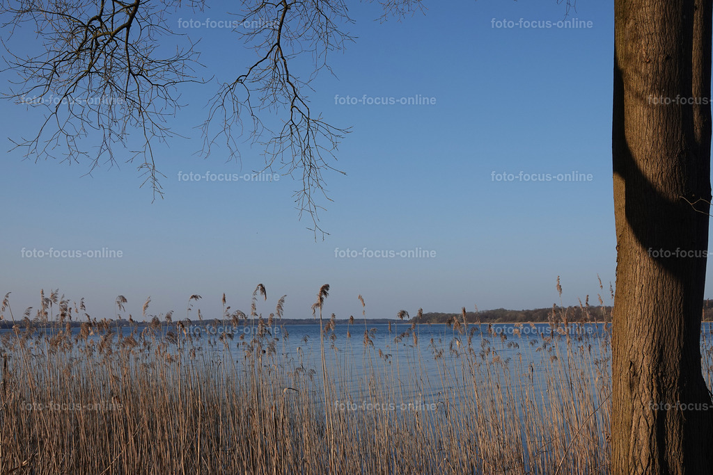 Smiling Lake_12 | Reeds in the light wind