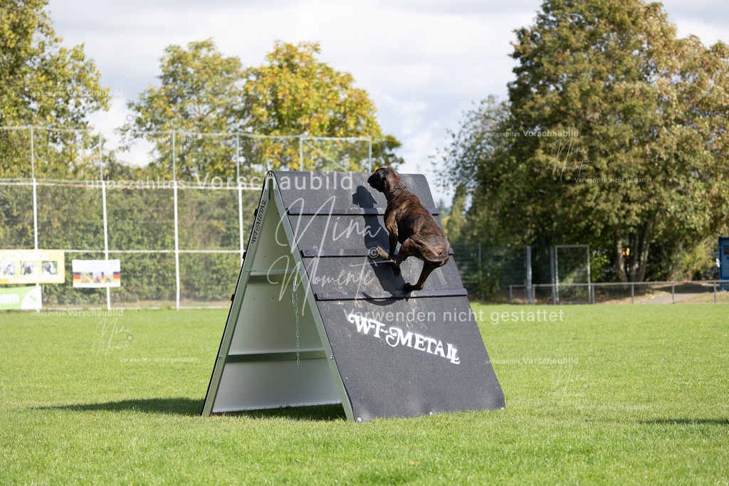 _16A6853 | Einzigartige Fotos von Hunden & Menschen –Actionfotos, Portraits, Vereinsaufnahmen & Paarshootings – authentisch, lebendig & mit Herz.