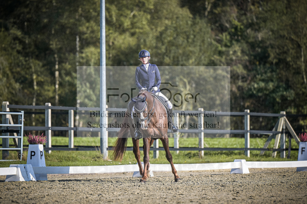 DOS_4955 | Entdecke hochwertige Reitturnierfotos von Foto Oger. Professionell, emotional und authentisch – jetzt Lieblingsmomente im Shop bestellen.Deutschlandweite Turnierfotografie. - Realisiert mit Pictrs.com