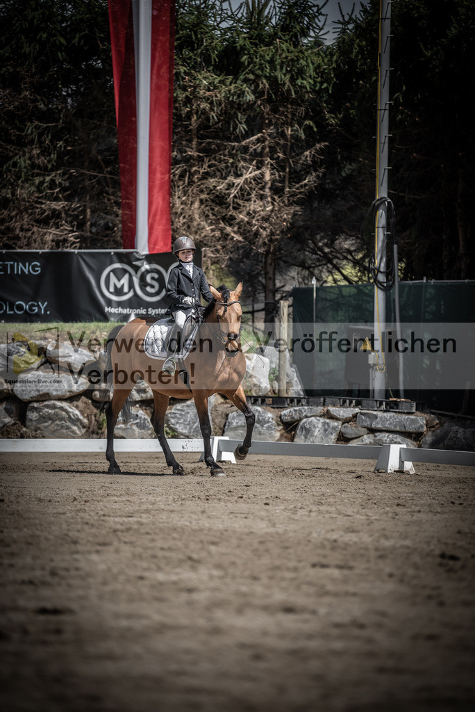 DSC_0919 | equestrian-live-com