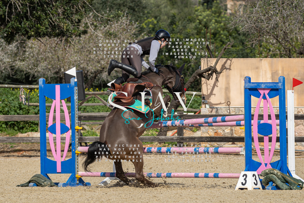 IMG_6746 | s-jay-photography - Realisiert mit Pictrs.com