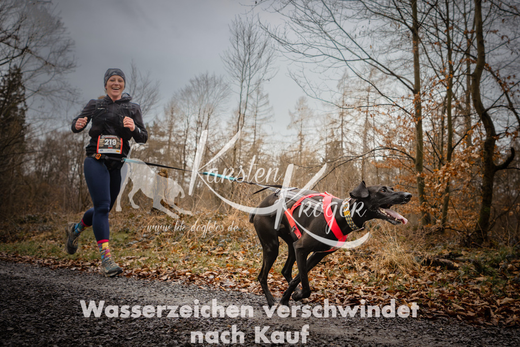 1025_ZZ95653 | kk-dogfotos