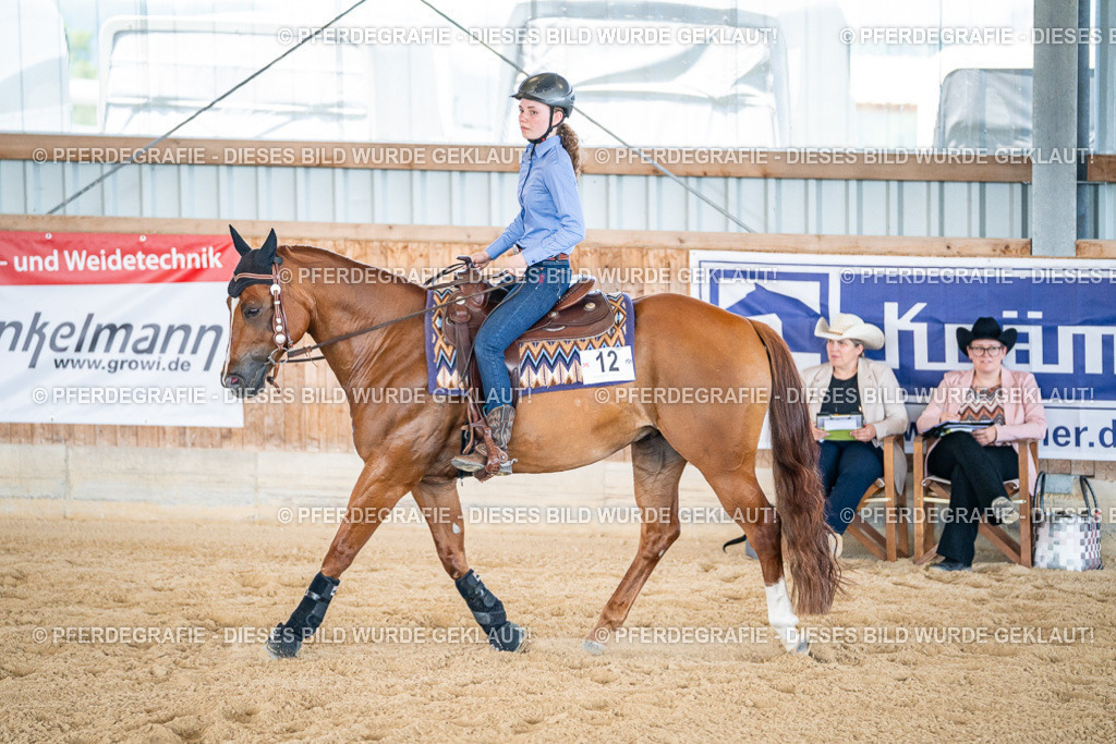 DSC03098 | Pferdegrafie