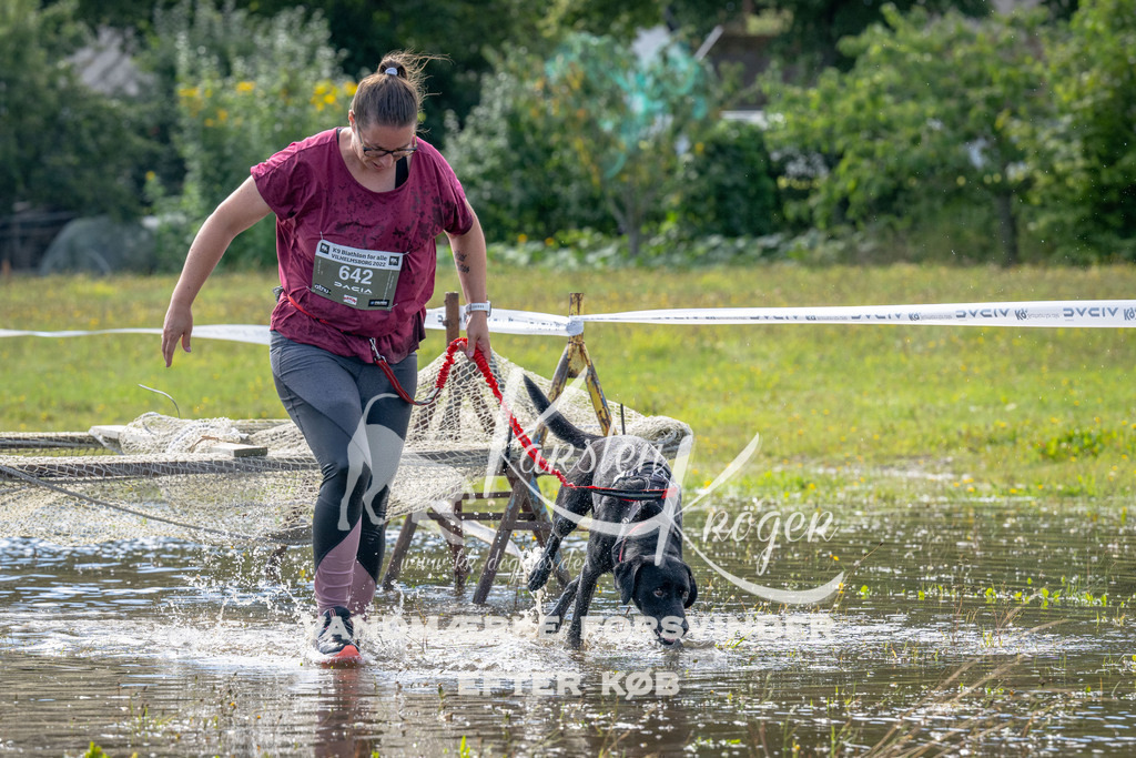 1239_ZZ91339 | kk-dogfotos