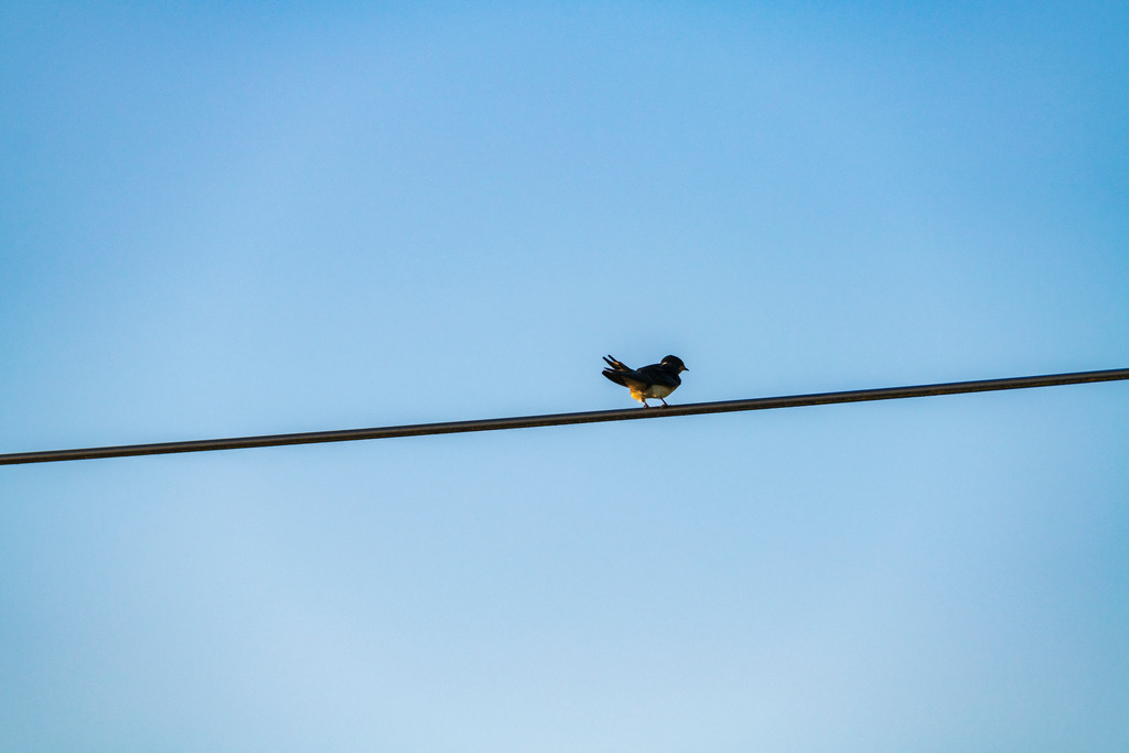 2022_06_29_HETLINGER-SCHANZE_MCP0198 | Hochwertig gedruckte Fotografien für die Wand, als Kalender und zum Verschenken. Hamburg & Norddeutschland und überall wo ich mit der Kamera unterwegs war.