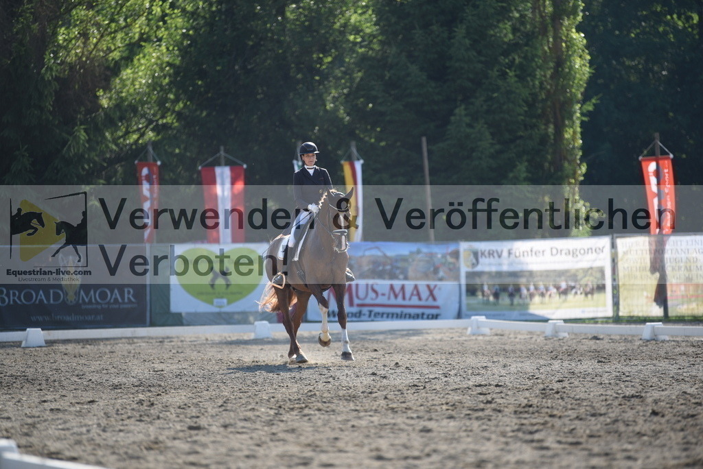 DSC_2754 | equestrian-live-com
