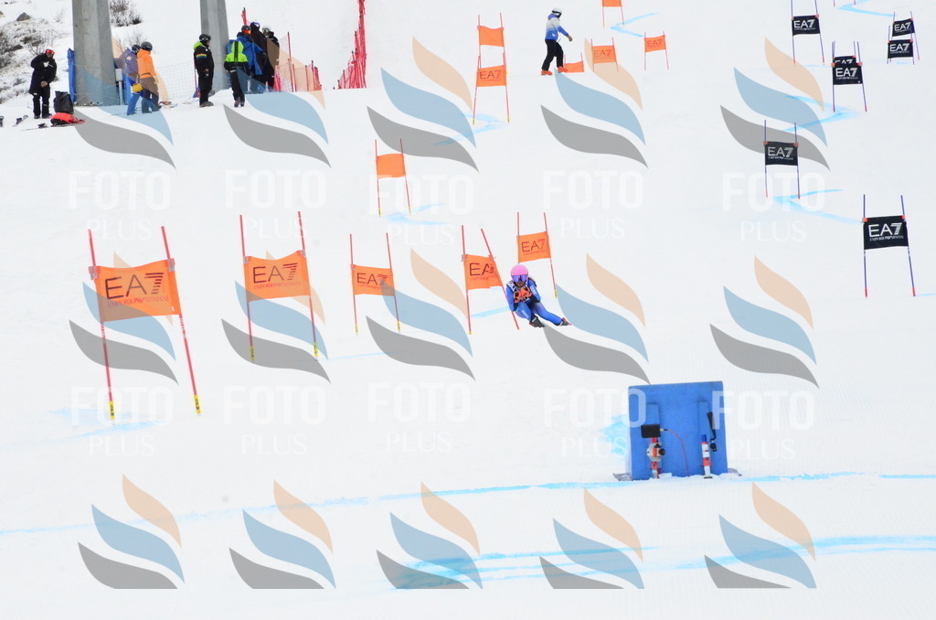 _ELE3531 | holidayphoto