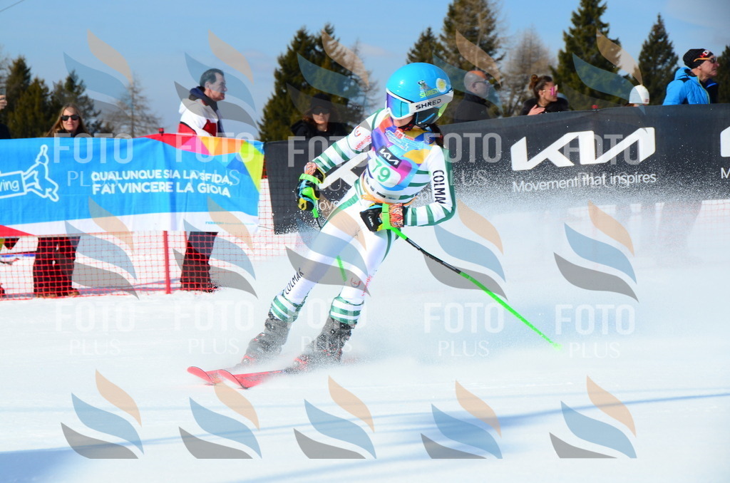 DSC_0488 | holidayphoto