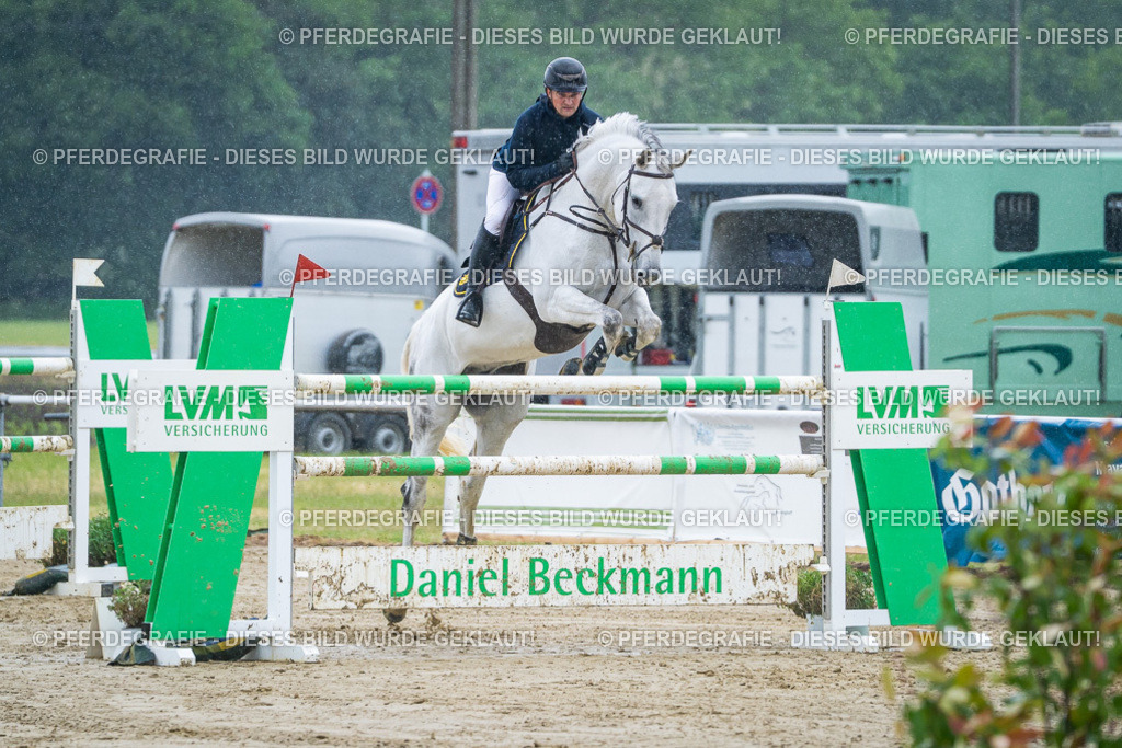 DSC00005 | Pferdegrafie