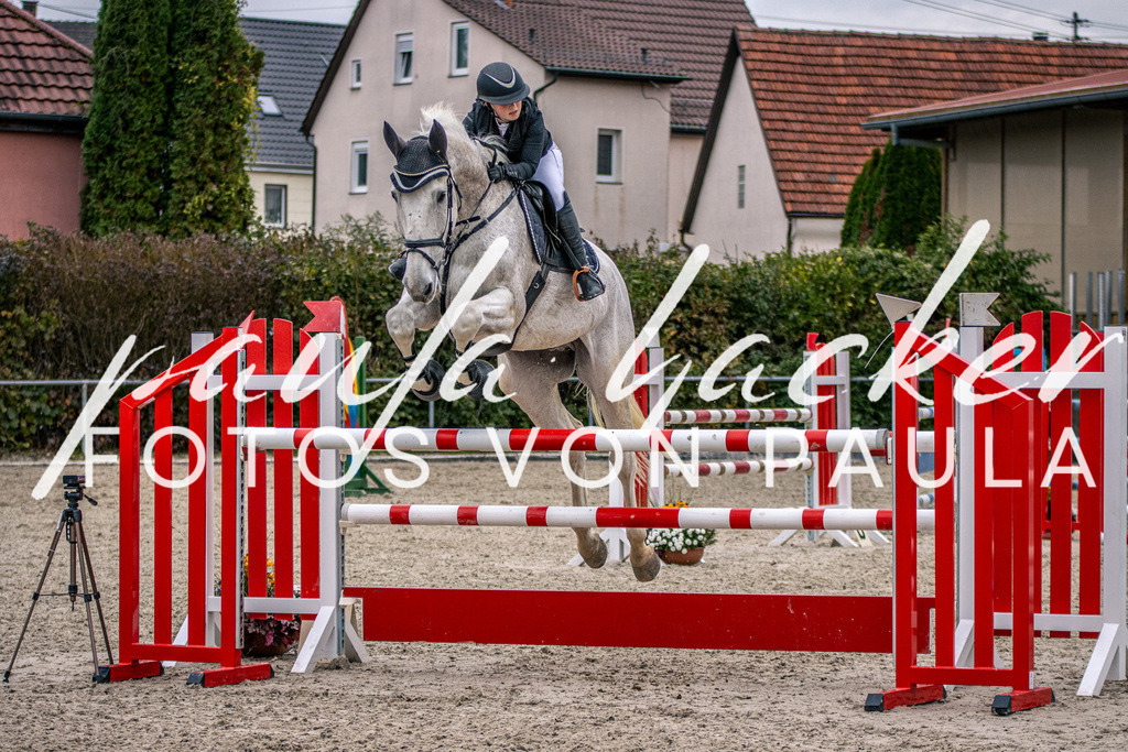 IMG_6160 | Erleben Sie dynamische Sport- und emotionale Tierfotografie in Süddeutschland mit Fotos von Paula. Spezialisiert auf Pferde- und Hundefotografie sowie Sportevents. Kontaktieren Sie mich für einzigartige und ausdrucksstarke Bilder Ihrer besonderen Momente. - Realisiert mit Pictrs.com