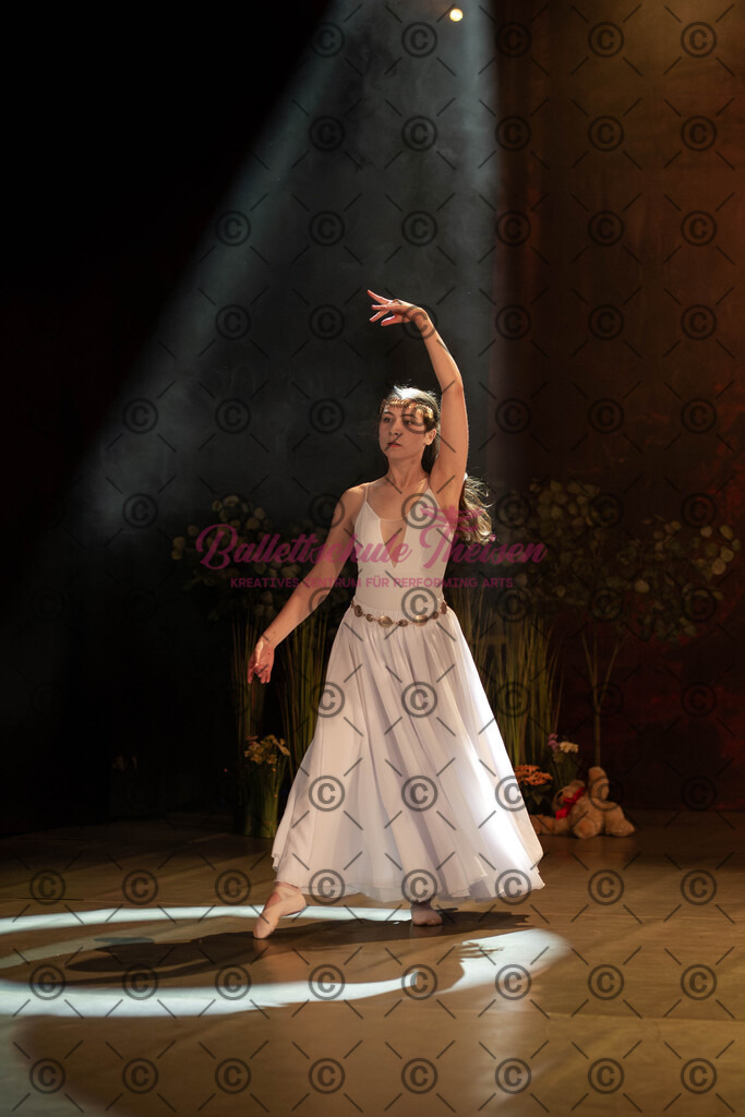 Ballettaufführung-798 | Bildershop Lem'n Entertainment - Realisiert mit Pictrs.com