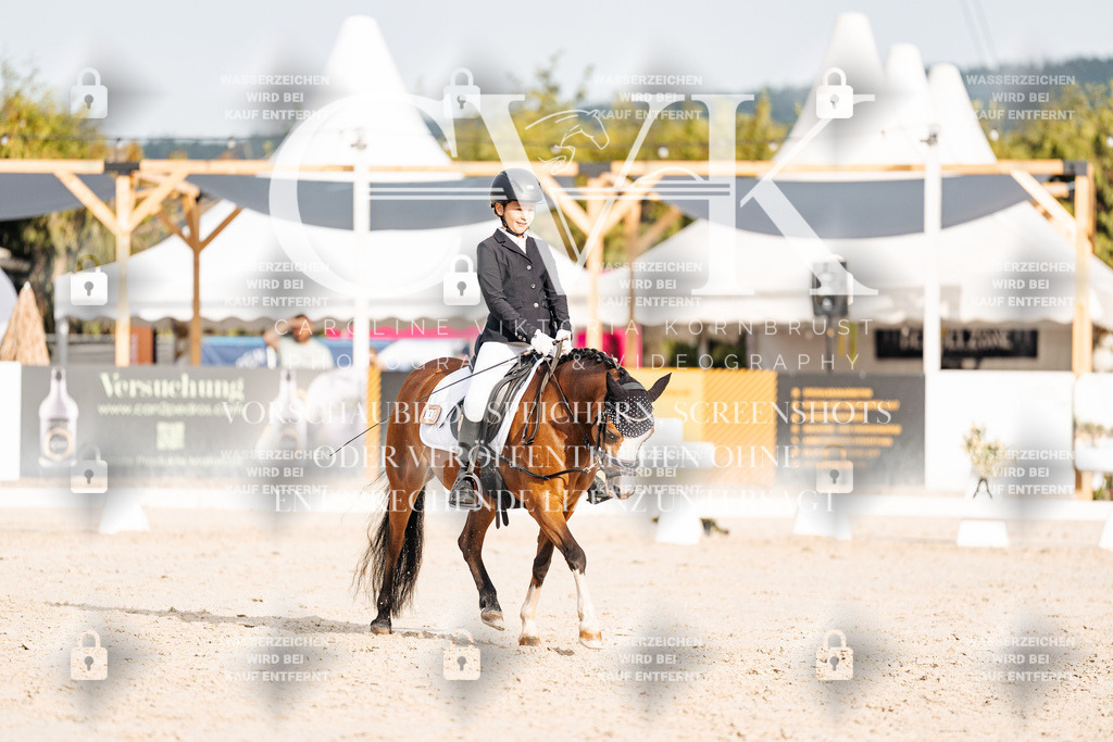 CK904172 | Turnierfotografie Pferdefotografie Trier Rheinland-Pfalz Pferdesport Reitsport Tierfotografie Sportfotografie Pferdevideo Pferdevideografie Equestrianvideography equestrianphotography  - Realisiert mit Pictrs.com