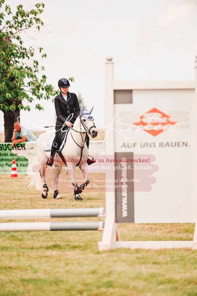 DSC_6944 | Pferde- und Turnierfotografie in Westsachsen. Pferdeportraits, Auftragszeichnungen und intuitive Kunst.