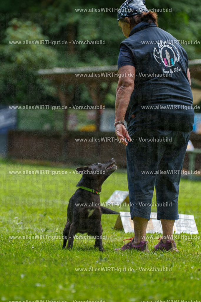 @allesWIRTHgut_Tierfotografie - www.allesWIRTHgut.de - 124542-7R509432 | Professionelle Tierfotografie in Mönchengladbach von Daniel Wirth (allesWIRTHgut). Liebevolle & natürliche Bilder von Hunden & Katzen für unvergessliche Erinnerungen.