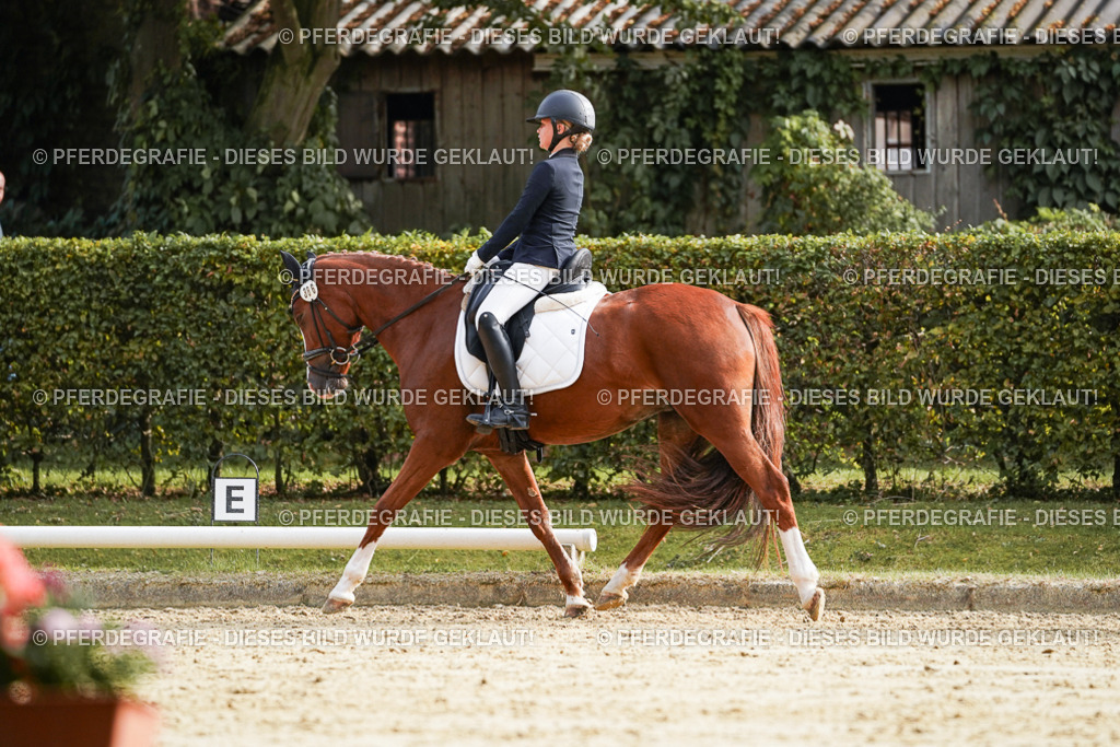 DSC05120 | Pferdegrafie