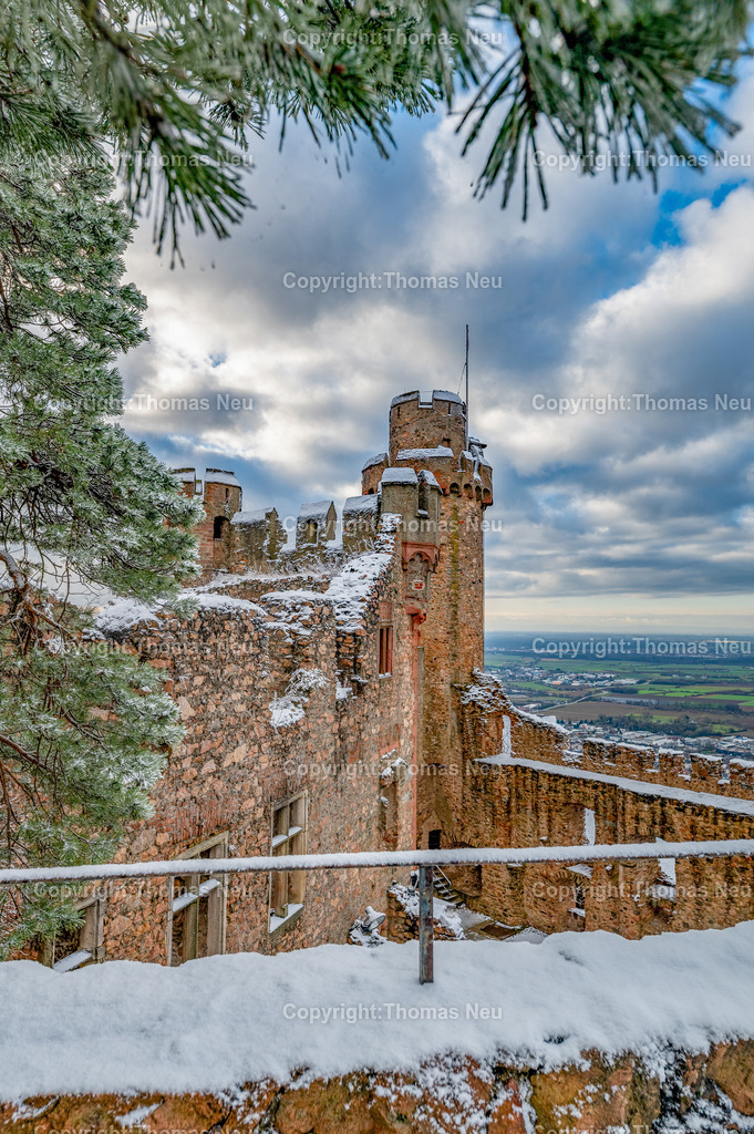 Winter-Schloss-Auerbach-Thomas_Neu_Fotografie-23 | Winterzauber auf Schloss Auerbach: Die historische Burgruine hoch über der Bergstraße zeigt sich im Schnee von ihrer beeindruckendsten Seite. Der Blick über die Rheinebene, der mächtige Wehrturm und die markante Schwarzkiefer machen das Schloss zu einem der schönsten Wintermotive im Odenwald. Entdecken Sie die faszinierende Kombination aus Geschichte, Natur und einzigartiger Winteratmosphäre., Bild: Thomas Neu