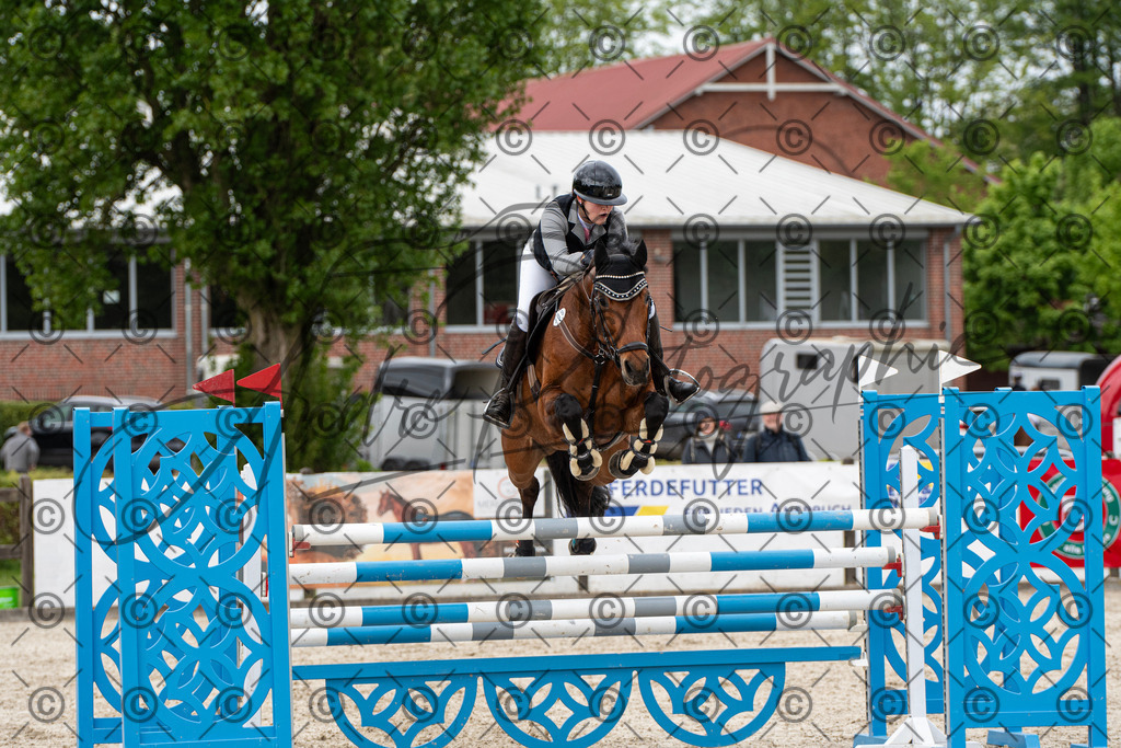 KPT_9919 | andre_photographic