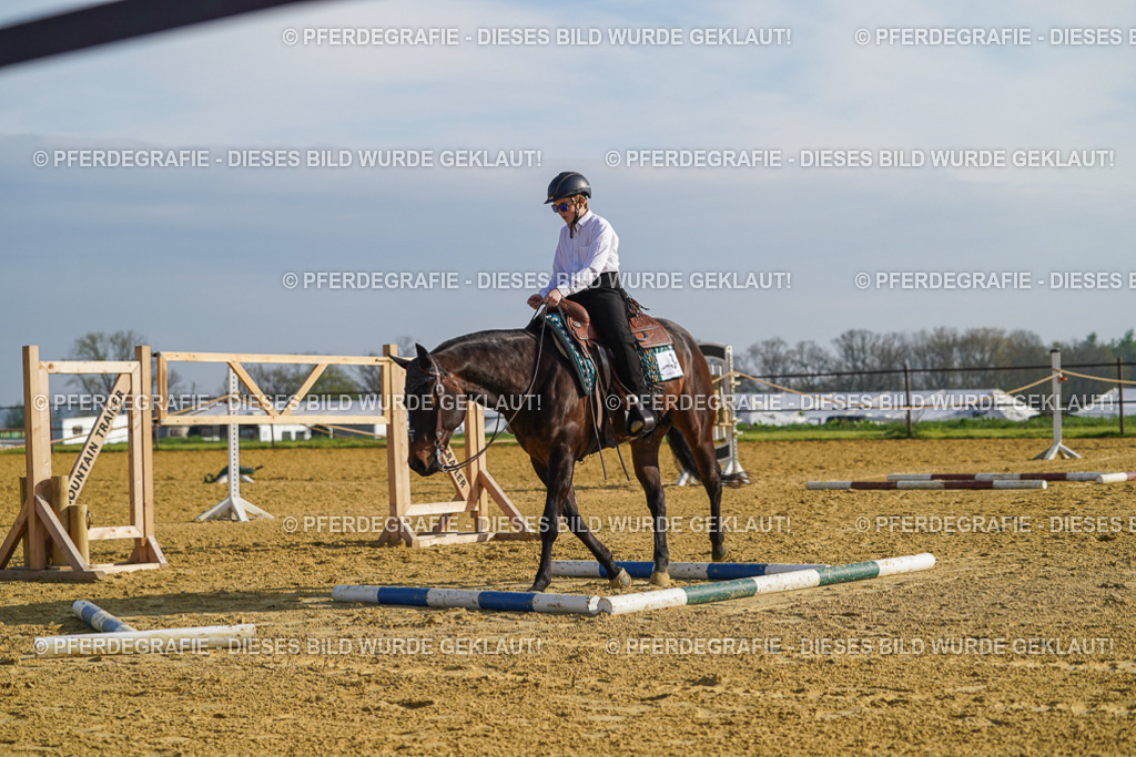 DSC00811 | Pferdegrafie