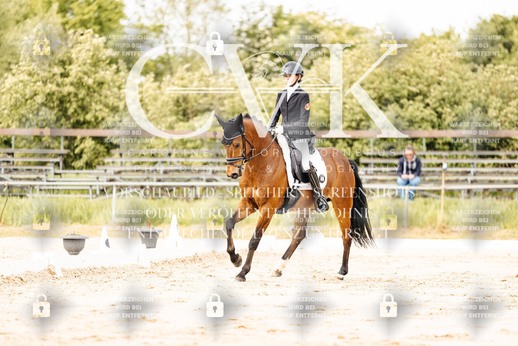 CK900899 | Turnierfotografie Pferdefotografie Trier Rheinland-Pfalz Pferdesport Reitsport Tierfotografie Sportfotografie Pferdevideo Pferdevideografie Equestrianvideography equestrianphotography  - Realisiert mit Pictrs.com