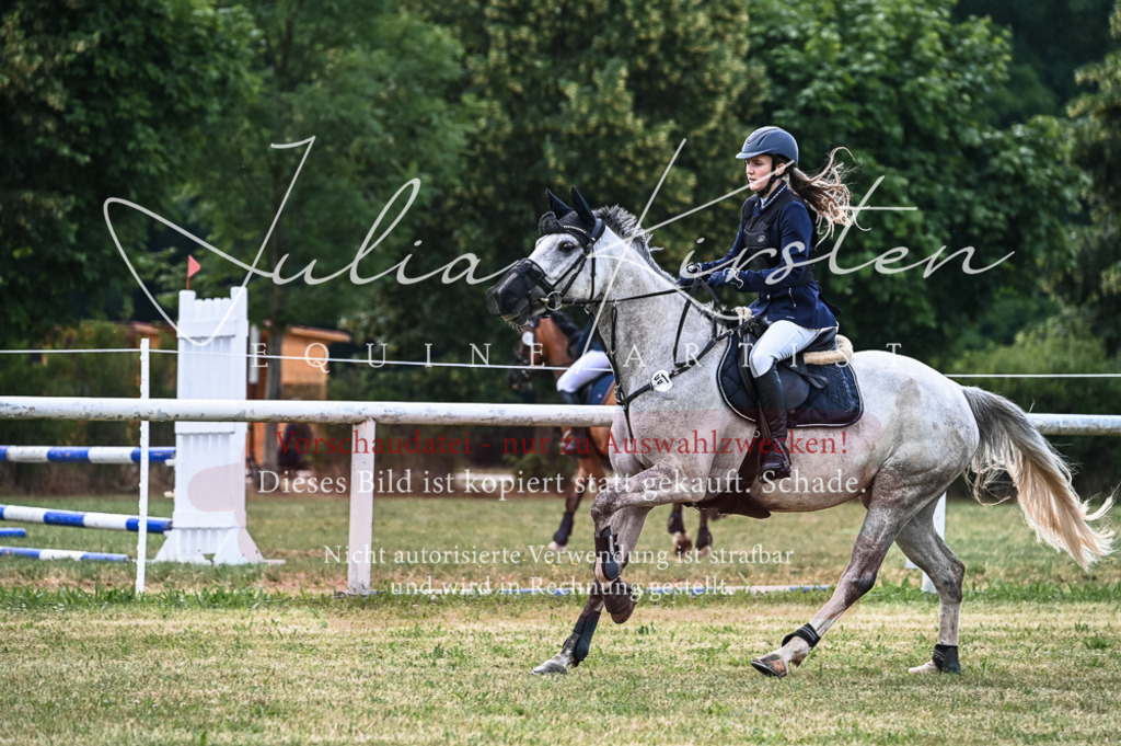 DSC_8148 | Pferde- und Turnierfotografie in Westsachsen. Pferdeportraits, Auftragszeichnungen und intuitive Kunst.