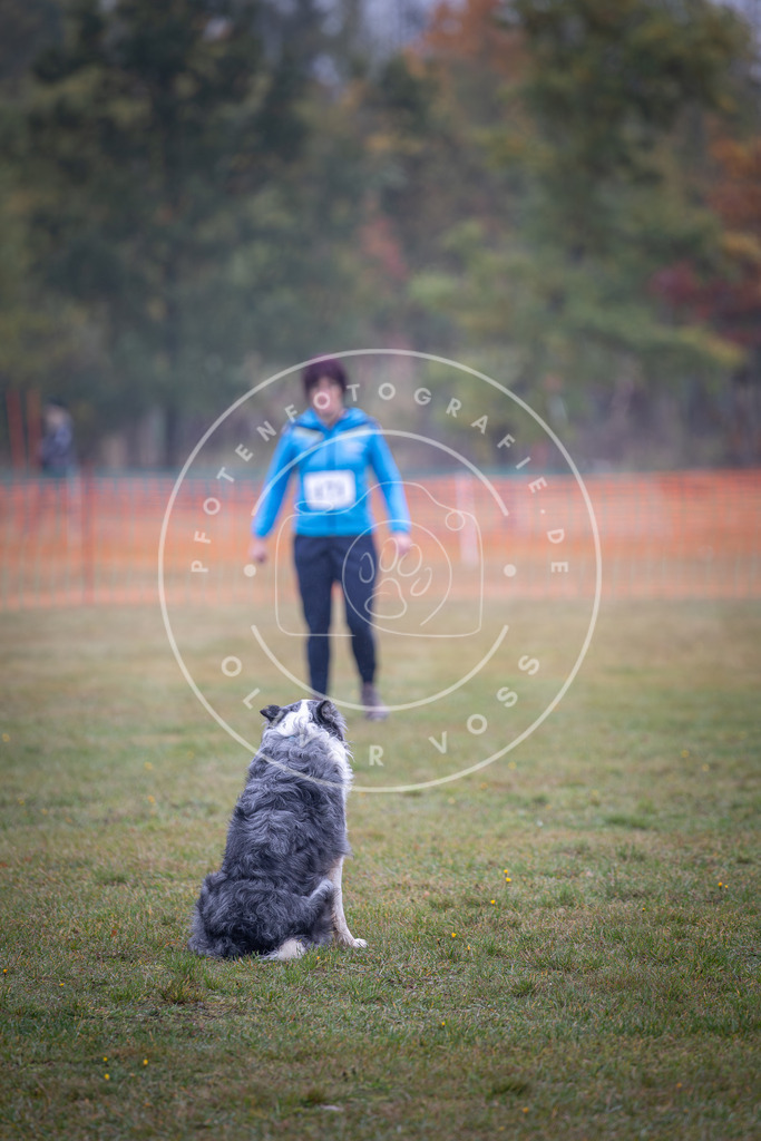 Pfotenfotografie_DV3A9169 | Hundefotografie, Tierfotograf, Pfotenfotografie, Fotoshooting Hund, Hunde Portrait, Hundesport, Hundeportraits, Heideshooting, Hunde, Sportfotograf, Hundefotograf, Turnierhundsport, THS,  - Realisiert mit Pictrs.com