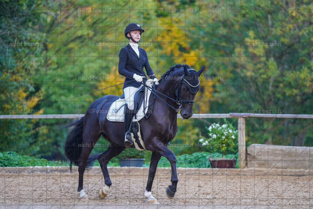 20221007-FAH00629 | Diessen am Ammersee, 2022, Dressur- und Springturnier, Reitsportbilder, Turnierfotografen Bayern, Pferdefotografen, Fotoagentur Herrmann, Turnierbilder