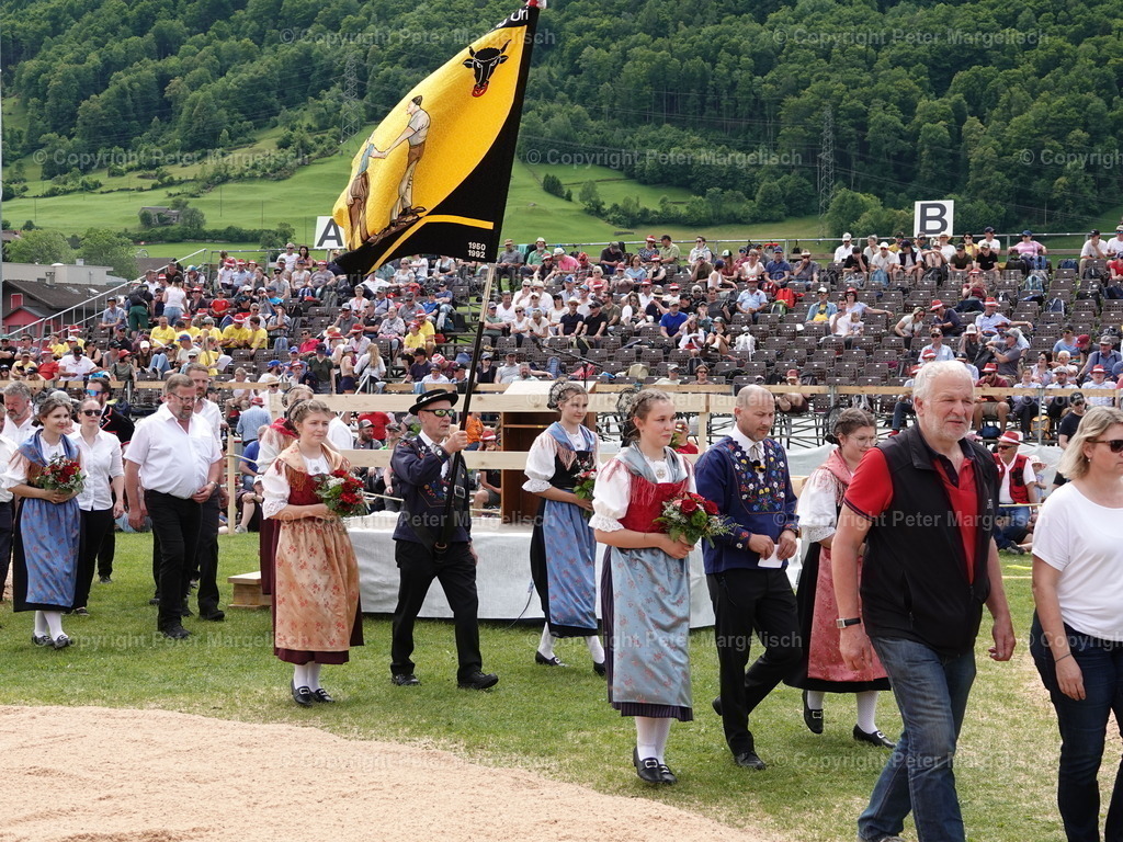 DSC07474 | Schwingen - Realisiert mit Pictrs.com