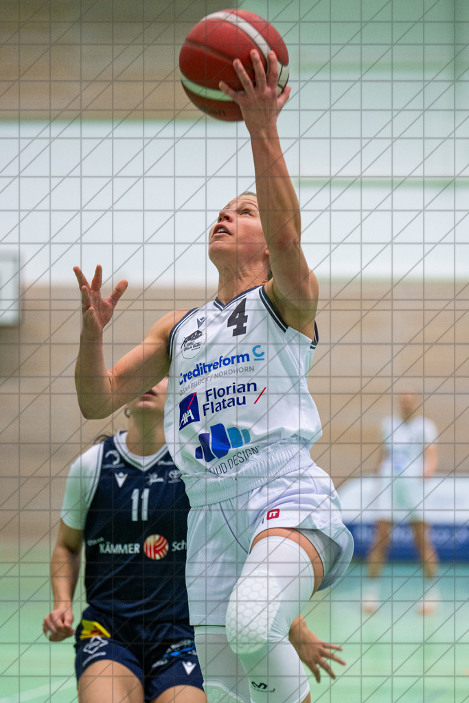 2. DBBL Nord 25/26 | Spieltag 08 | BBC Osnabrück vs. LionPride Braunschweig | 16.11.25: 2. DBBL Nord 25/26 | Spieltag 08 | BBC Osnabrück vs. LionPride Braunschweig / Osnabrück / Deutschland  //   CREDIT:www.bullenfotos.de, Martin König, Hörner Weg 40, D-49078 Osnabrück, +4917663732967 // Nutzung und Weitergabe nur zu den vereinbarten Zwecken. Presseanfragen an Ersteller. Alle Rechte beim Ersteller. Honorierung nach MFM. - Realisiert mit Pictrs.com