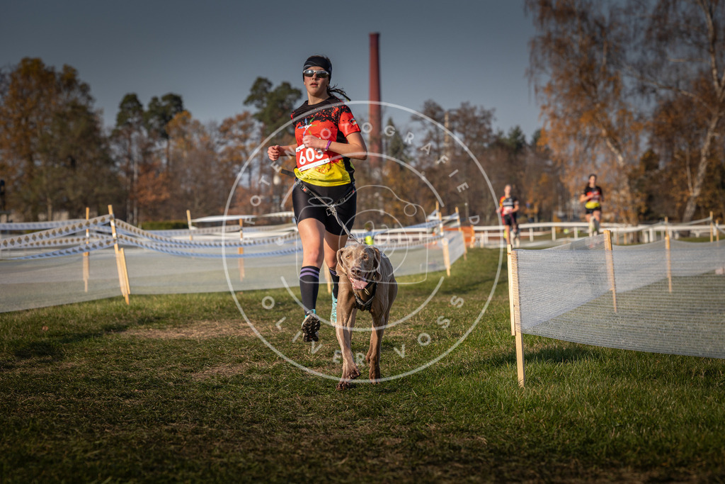 CaniXpix_0L8A0077 | Hundefotografie, Tierfotograf, Pfotenfotografie, Fotoshooting Hund, Hunde Portrait, Hundesport, Hundeportraits, Heideshooting, Hunde, Sportfotograf, Hundefotograf, Turnierhundsport, THS,  - Realisiert mit Pictrs.com