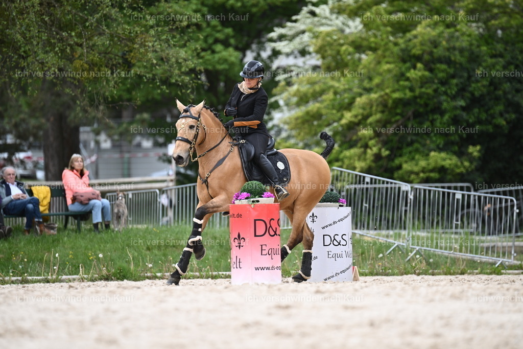 PI26_ST_Sara_Landvogt226_3031.JPG | working equitationturnier fotograf videograf stoibphotography marixx film working equitation deutschland reitsport turnierfotografie eventfotografie equestrian events