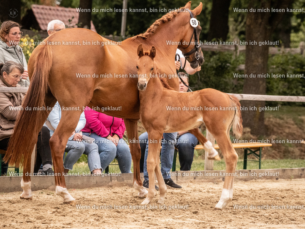 A10I4993 | photographylinaismer - Realisiert mit Pictrs.com