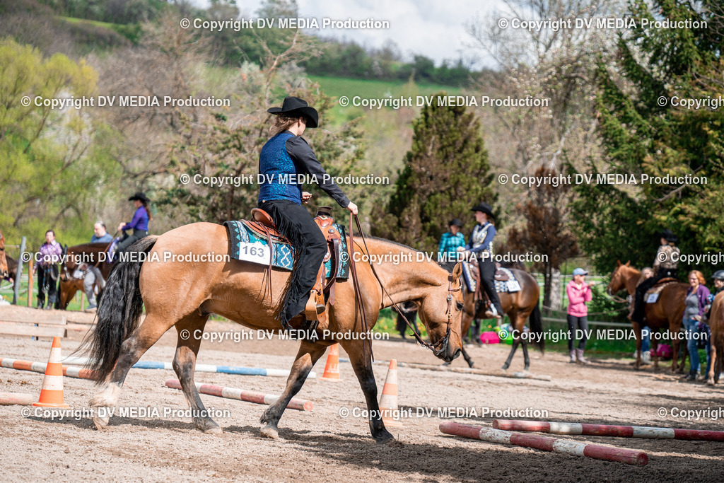 BAL02423 | dv-media-shop - Realisiert mit Pictrs.com