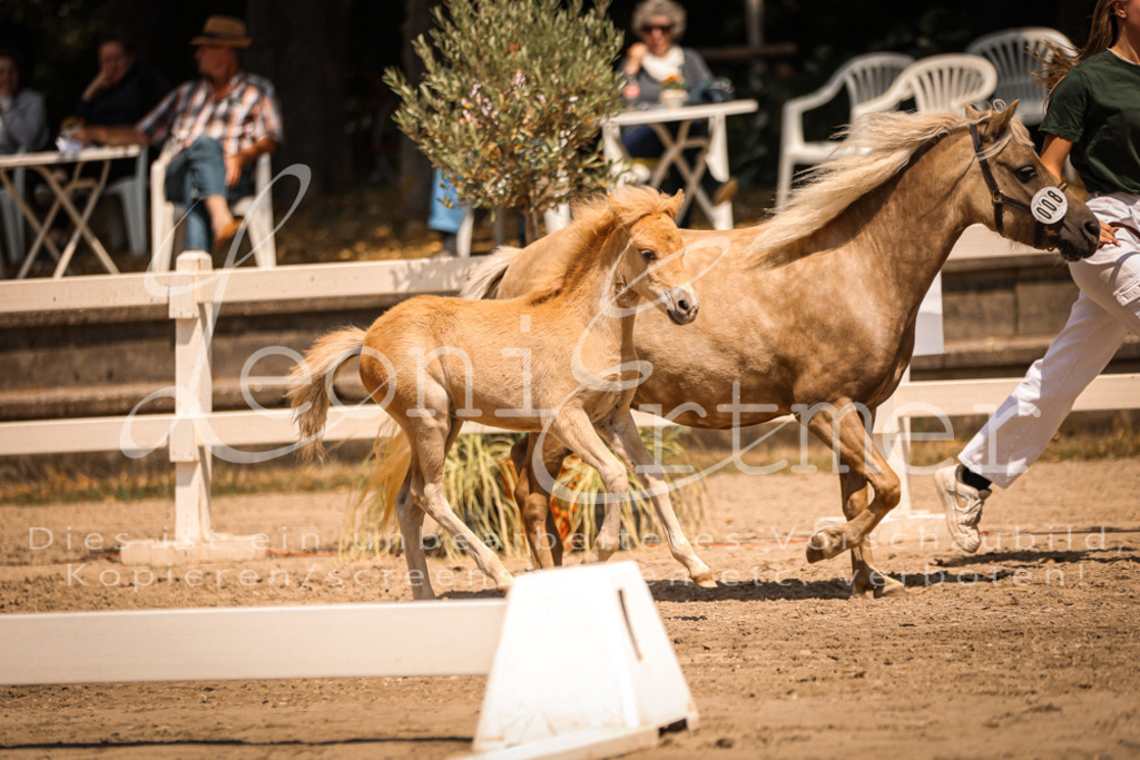 02.DoSR00031 | Leoni Ertmer Photography - Realisiert mit Pictrs.com