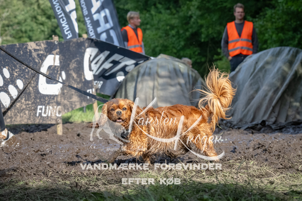 1727_ZZ92208-Bearbeitet | kk-dogfotos