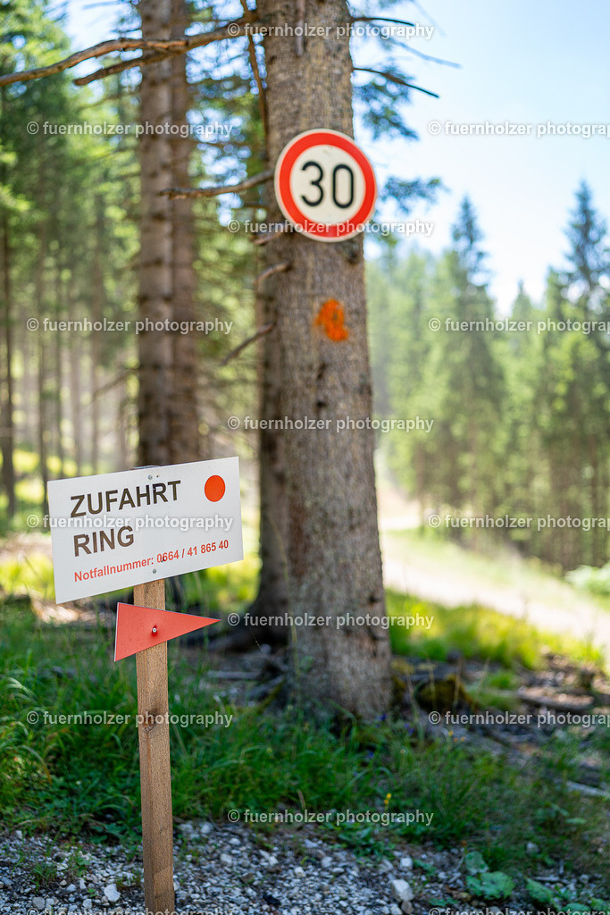 fuernholzer_240706-C4-546 | © Christian Fuernholzer | fuernholzer photography