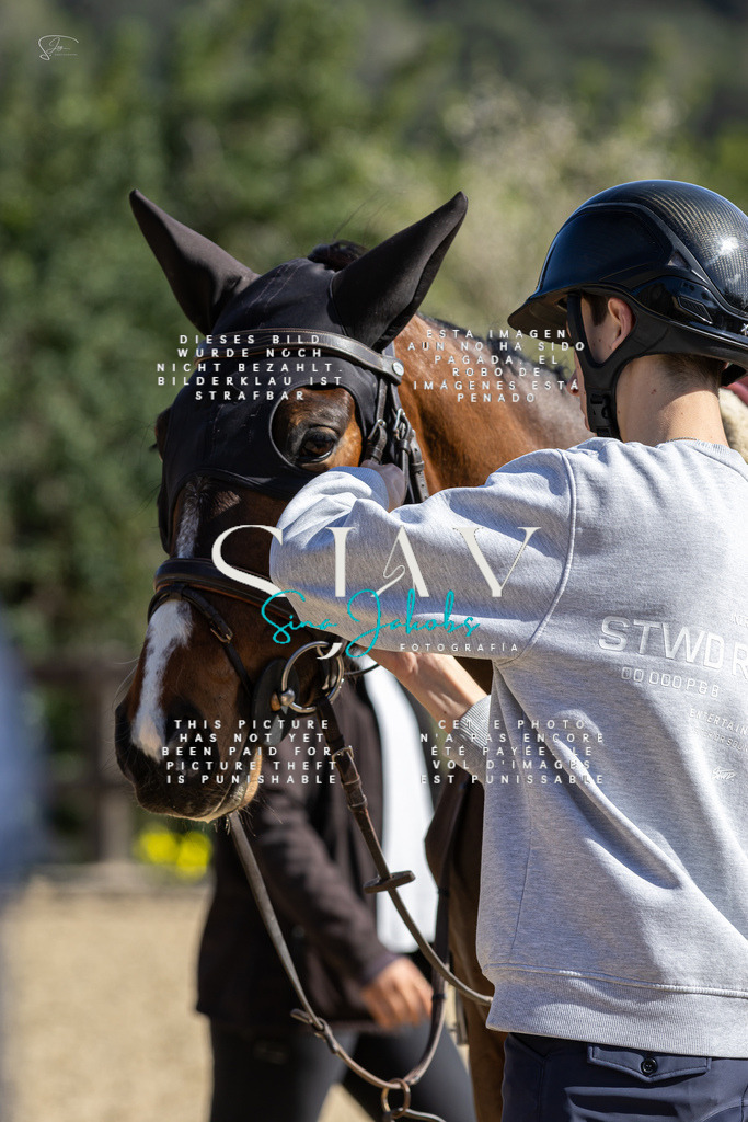 IMG_6355 | s-jay-photography - Realisiert mit Pictrs.com