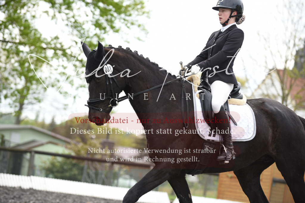 20230513_JK-Röhrsdorf-16-232 | Pferde- und Turnierfotografie in Westsachsen. Pferdeportraits, Auftragszeichnungen und intuitive Kunst.