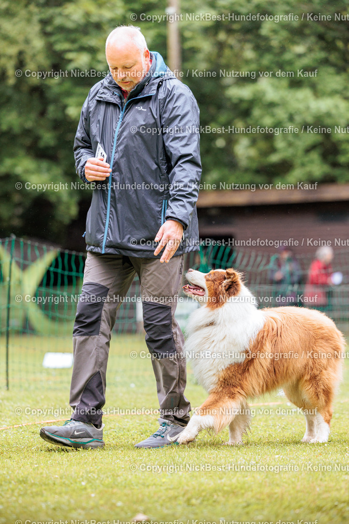 RO-Blumenthal-2026-Nickbest-Hundefotografie-3780 | Dein Hund! Dein Moment! Deine Erinnerungen! Hundefotografie in Bremen Blumenthal. Ich fange die besonderen Momente deines Vierbeiners ein – ob Indoor mit Blitzanlage oder in der freien Natur. Sicher dir dein Moment und dein Termin für eure Erinnerungen.