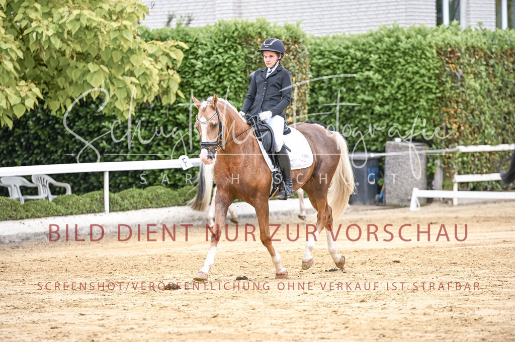 Schugtsche-Aluta25-42.EDressur -177 | Schugtsche Fotografie - Realisiert mit Pictrs.com