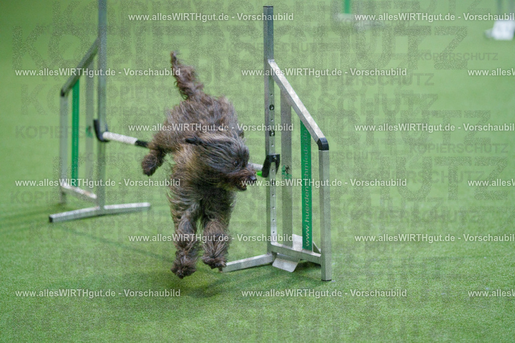 @allesWIRTHgut_Tierfotografie - www.allesWIRTHgut.de - 2604250851-7R507945 | Professionelle Tierfotografie in Mönchengladbach von Daniel Wirth (allesWIRTHgut). Liebevolle & natürliche Bilder von Hunden & Katzen für unvergessliche Erinnerungen.