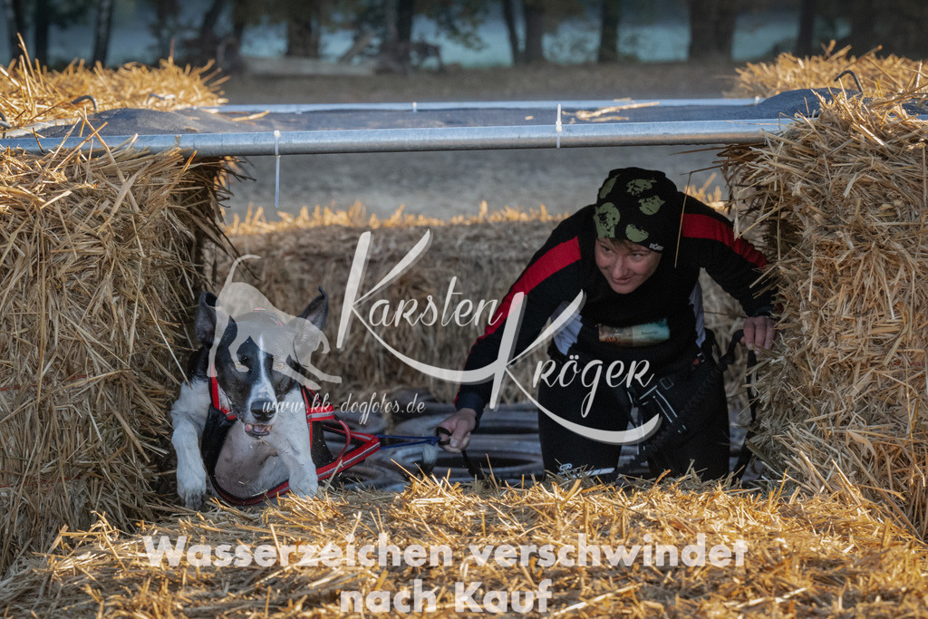0901_ZZ90618 | kk-dogfotos