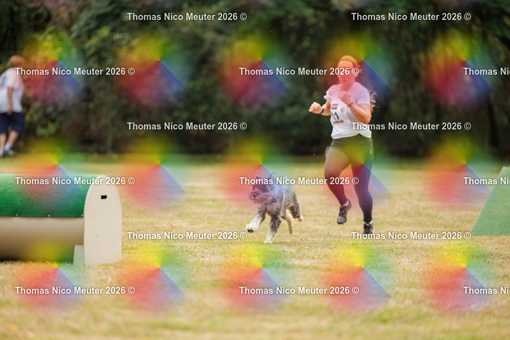 Thomas_Nico_Meuter(C)_22. August 2026_223A4285 | Bild von Thomas Nico Meuter - Realisiert mit Pictrs.com