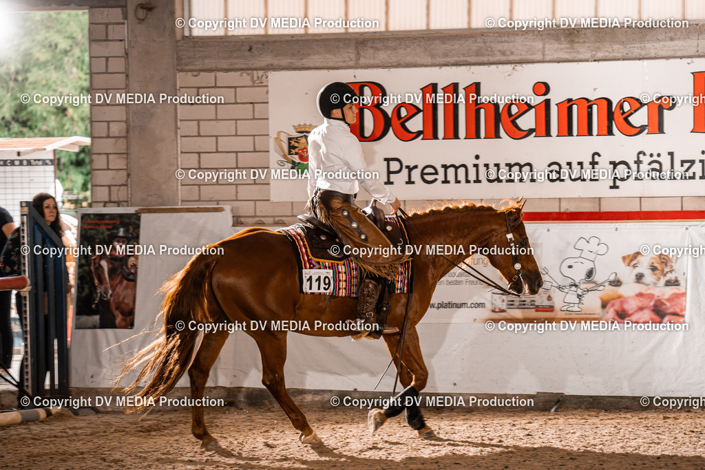 ZH300111 | dv-media-shop - Realisiert mit Pictrs.com