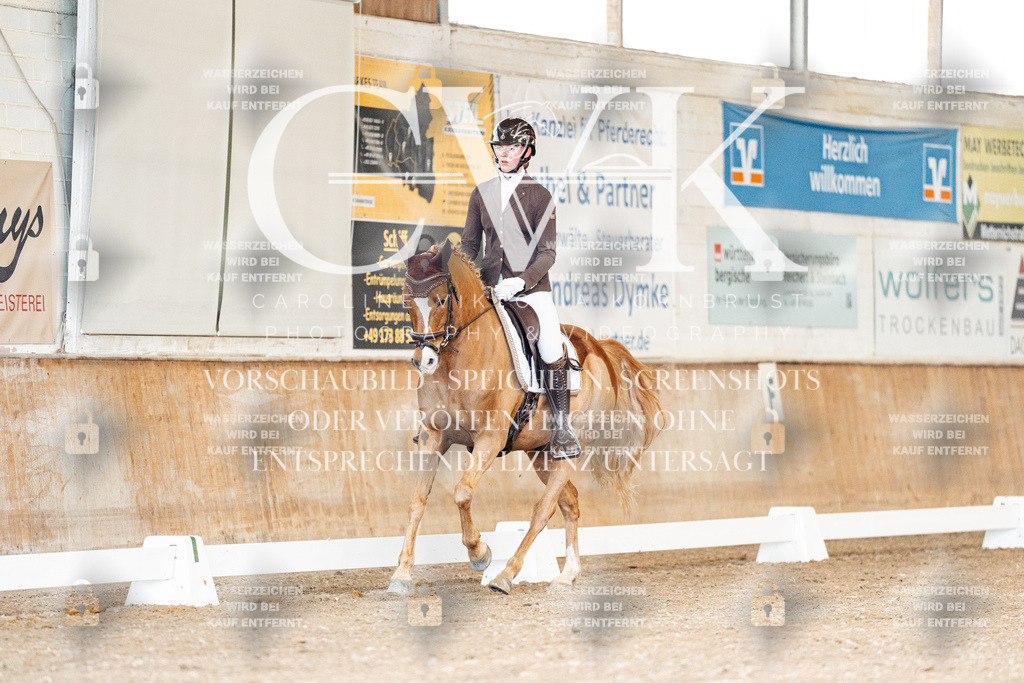 CK900793 | Turnierfotografie Pferdefotografie Trier Rheinland-Pfalz Pferdesport Reitsport Tierfotografie Sportfotografie Pferdevideo Pferdevideografie Equestrianvideography equestrianphotography  - Realisiert mit Pictrs.com
