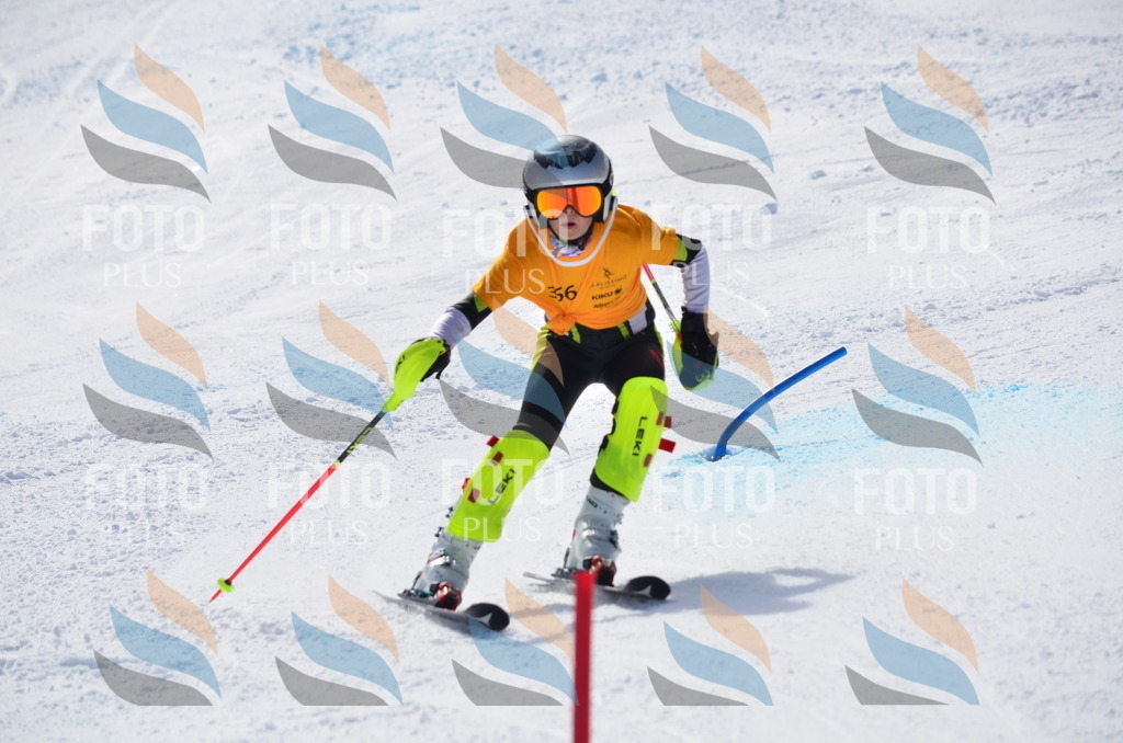 C9823 | holidayphoto