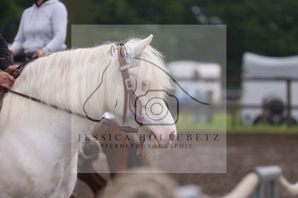 IMG_1313 | jessicahollubetz_pferdephotographie - Realisiert mit Pictrs.com