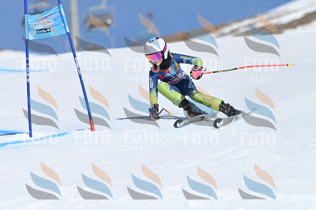 BGV_9256 | holidayphoto